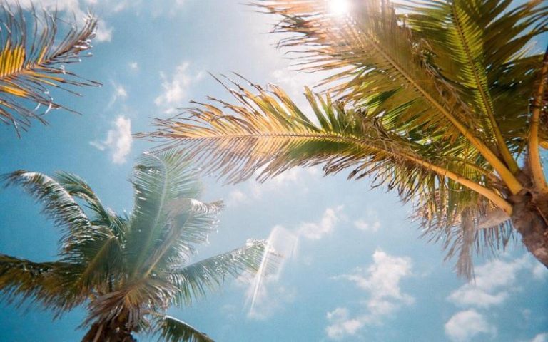 Culinary Delights: Florida’s Unique Foodie Experiences