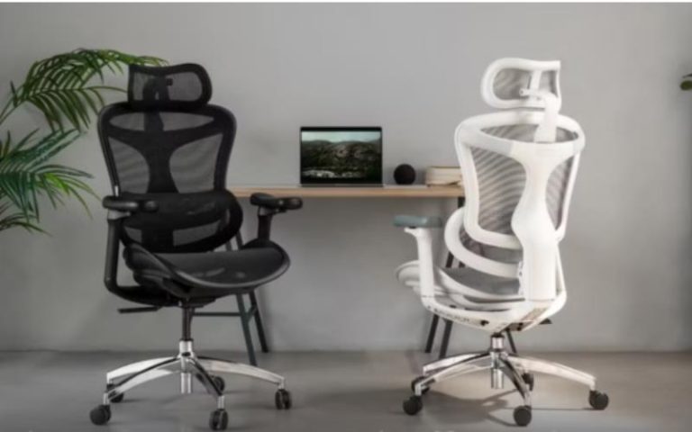 Mesh Office Chairs Redefined: What Makes Sihoo Doro C300 Stand Out?